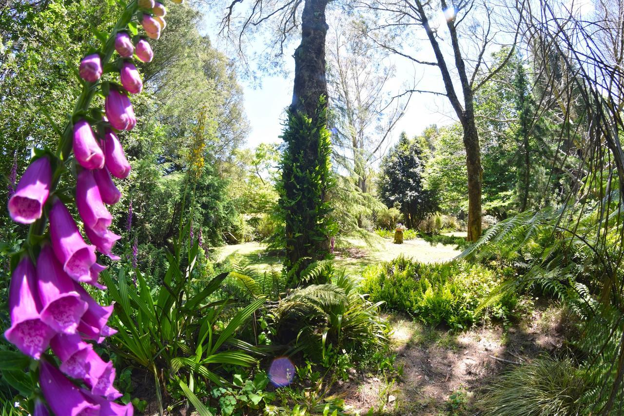 Tepopo Gardens & Accommodation 斯特拉特福 外观 照片